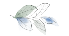 Nurture Mindfully
